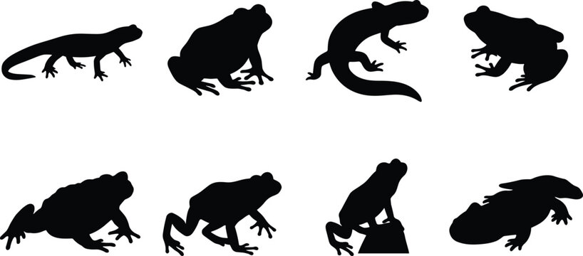 Frog and Amphibian Silhouette Collection with Multiple Wildlife Poses