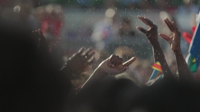 Portuguese football fans celebrating a victory in a stadium during watching world championship football match