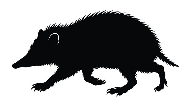 Echidna walks forward in a solid black silhouette isolated on a clean white background.