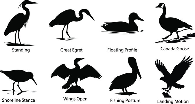  Water Bird Silhouette Set Heron Egret Goose Flight and Behavior Poses Collection