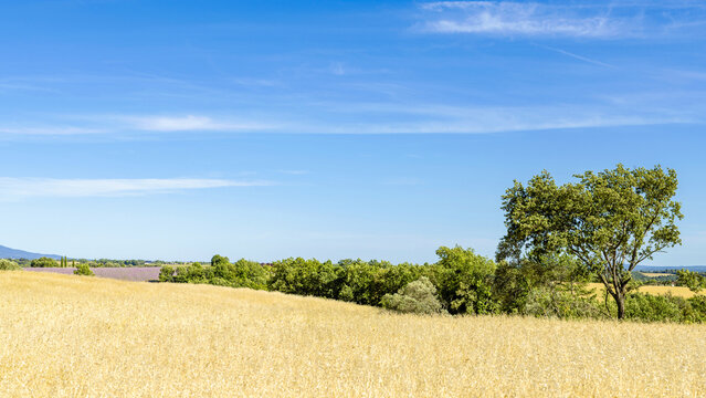 Paysage printanier des Alpes de Haute-Provence