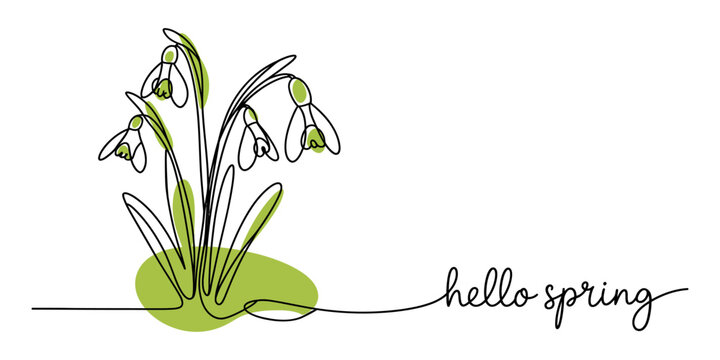 Continuous line drawing Beautiful snowdrop flowers with a hello spring hand drawn lettering