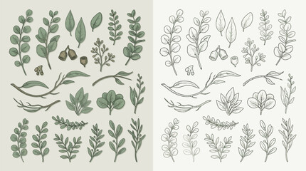 Collection of Hand-Drawn Botanical Elements and Leaves in Various Styles. © renender