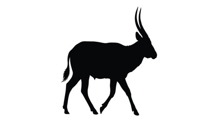 Antelope silhouette stands proudly with long curved horns. © sajida