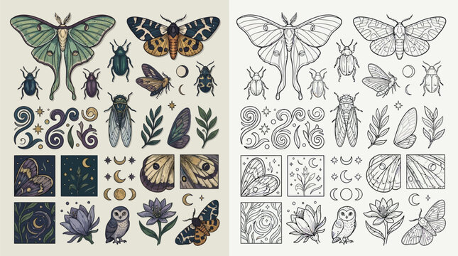 Collection of mystical insects, celestial elements, and floral motifs in vintage style, including moths, beetles, cicadas, owls, and moon phases.