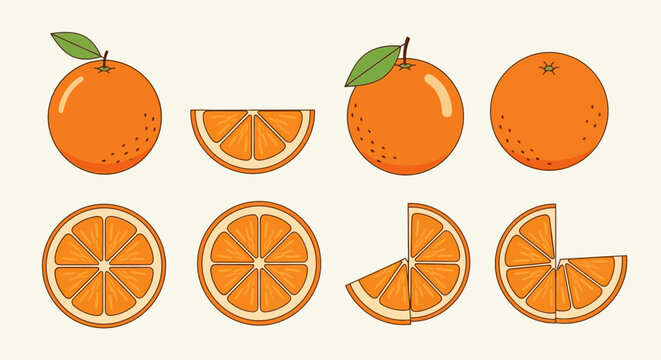 Fresh Oranges and Slices - Whole and Cut Citrus Fruits