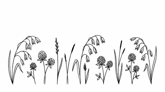 A black and white illustration of various wildflowers and grasses.