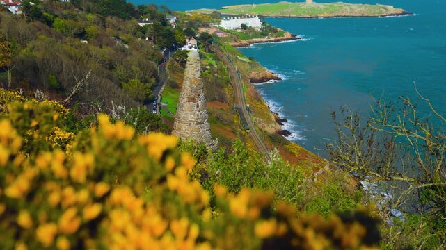 Irish Rail DART Train Along Coast with Dalkey Island and Yellow Gorse Flowers