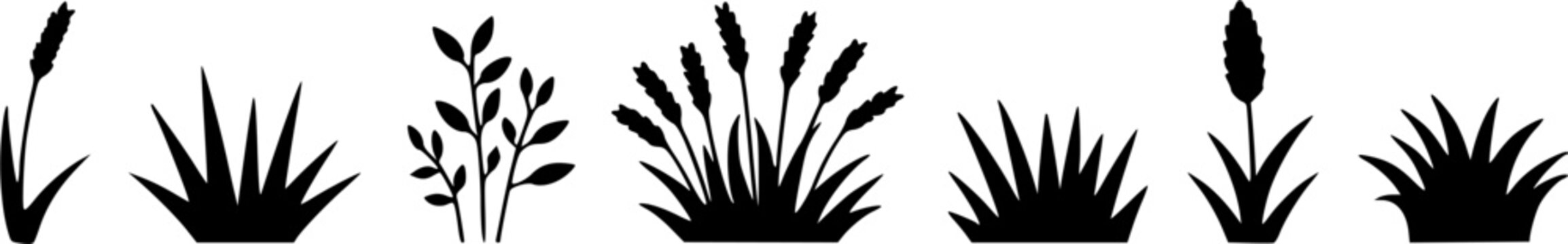 Collection of swamp reed and marsh grass vector silhouette icon set featuring bulrush cattail pond tufts and river plant elements isolated on white background.