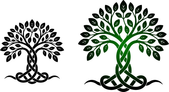 Celtic tree of life vector icon set with interwoven roots and branches featuring black and green symmetrical mystical nature design isolated on white background.