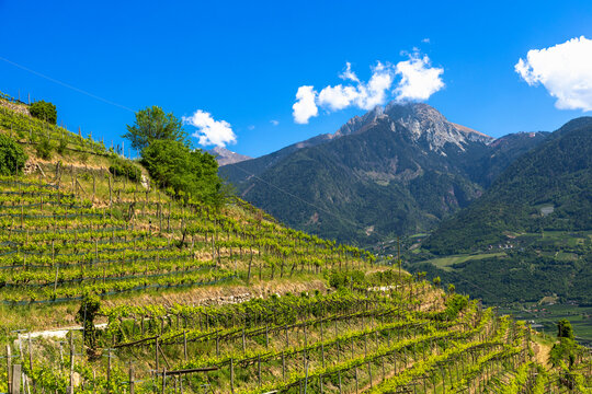 Auf dem Marlinger Waalweg &uuml;ber Meran, S&uuml;dtirol