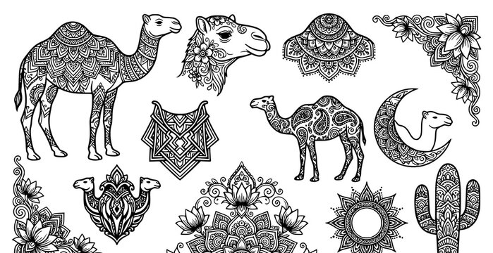 Desert animal zentangle art with camels cacti and mandalas for adult coloring books
