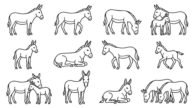 Hand drawn donkey vector illustrations, set of 12 minimalist mule line art icons, farm animal sketches in various poses for coloring and design