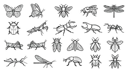 Vintage insect illustrations set, 20 black and white bug vector icons, detailed biological sketches of butterfly bee and beetles for educational design © Noman