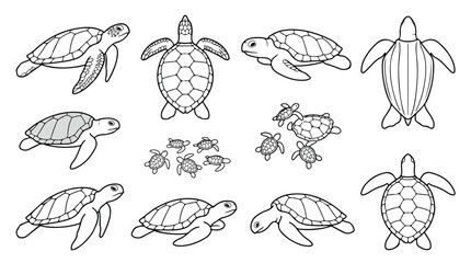 Sea turtle line art collection, minimalist black and white turtle vector set, marine reptile illustrations for coloring books and educational design © Noman