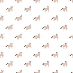 Obraz premium Adorable domestic cat animated pattern repeating endlessly on a white background