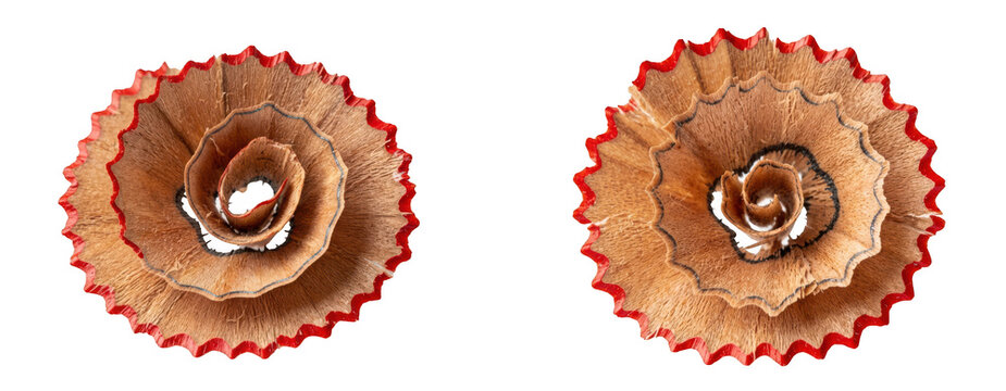 Two pencil shavings with red paint isolated on transparent background