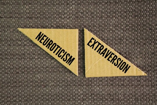 Two words Neuroticism and extraversion. each correlate to many types of risky behavior. Neuroticism is positively correlated to impulsive antisociality, a predictor of violent behavior