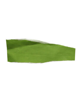 Green leaf fragment with jagged edges and yellow tones isolated on black transparent background
