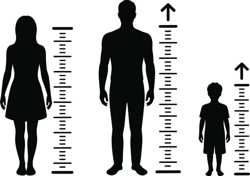 Human height, measurement icons, body measurement symbols representing growth monitoring anthropometric analysis and physical development tracking.