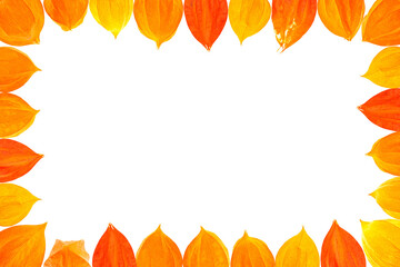 Horizontal flat lay autumn border frame of vibrant orange physalis alkekengi fruits isolated on clean transparent background png copy space template © Tanaly