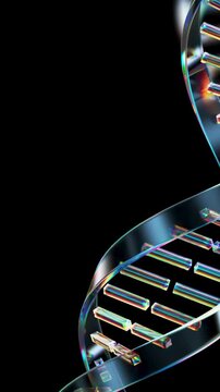 DNA double helix, genetic spiral, colorful molecular structure, biotechnology animation