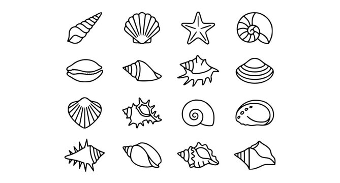 Decorative hand drawn seashell composition vector elements for coastal menu poster and recipe design isolated white background