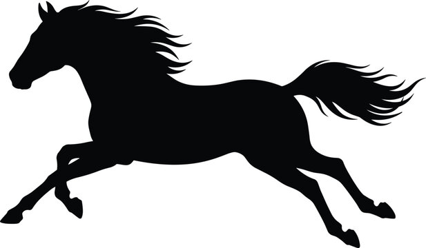 Black silhouette of a horse galloping with flowing mane and tail on a white background animal mammal
