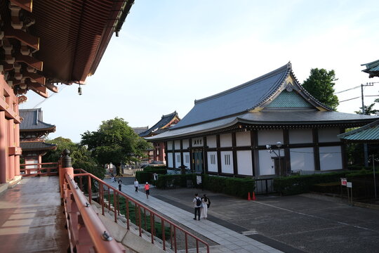 青空の下に佇む日本の伝統寺院
晴天に映える仏教寺院の本堂と山門
日本の歴史ある寺院建築と広い境内