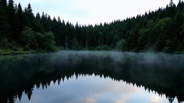 Dense evergreen forest borders a misty lake with perfect tree reflections