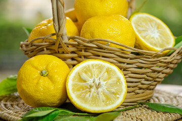 Fresh Sweet Yuzu Orange fruit in wooden basket over blur greenery background, Yellow Yuzu for...