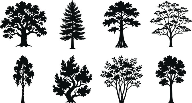 Tree Silhouette Collection with Deciduous, Evergreen, and Ornamental Landscape Trees