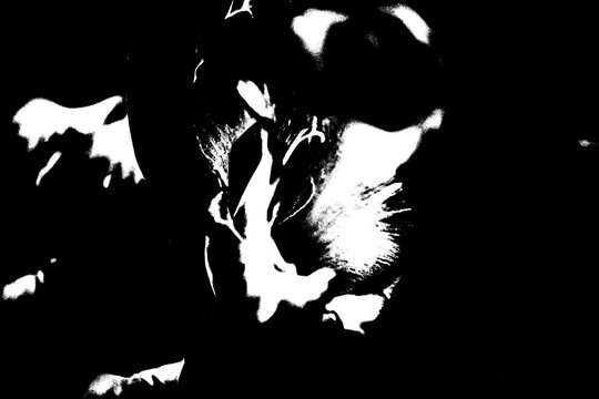 Abstrakte Blume im extremen Schwarz-Wei&szlig;-Kontrast &ndash; Minimalistische Bl&uuml;ten-Silhouette im Pop-Art-Stil