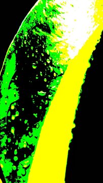  texture of leaves and water droplets in yellow green black gradation
