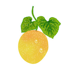 Golden yellow lemon with leaves © Yusliana