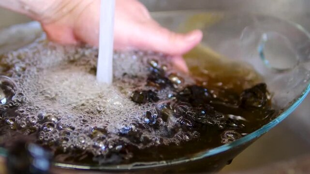 Washing dried prunes in glass bowl before cooking homemade recipe preparation process close up