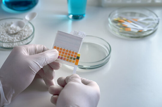 A scientist in a chemical laboratory takes measurements of the acid-base balance of a liquid in a petri dish.