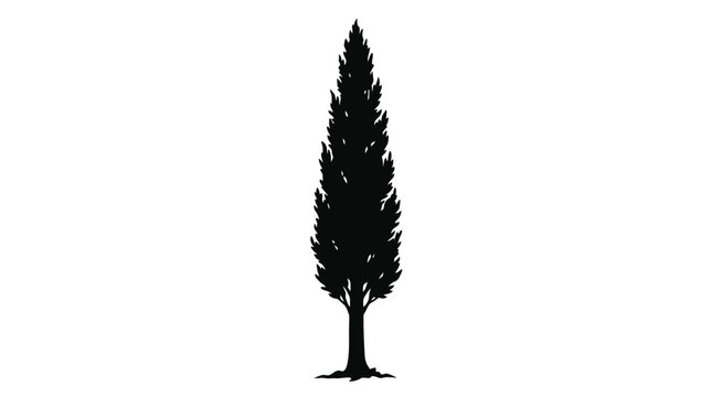 Silhouette of a single pine tree.