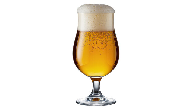 Golden lager beer with frothy head in tulip glass, isolated on transparent background