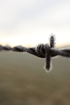 Close-up of Frozen Barbed Wire with Ice Crystals