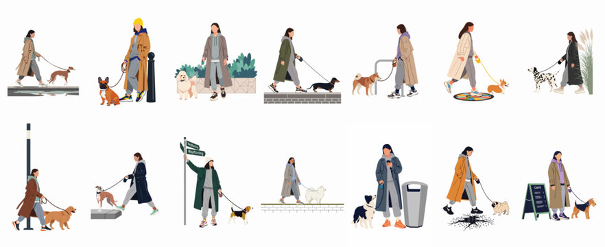 Flat vector illustration set of stylish women in trendy casual wear walking various dog breeds in an urban environment.