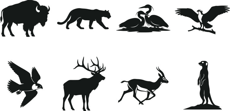 Wild animals and birds vector silhouettes collection featuring bison cougar herons eagle falcon deer gazelle and meerkat