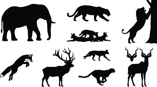 silhouette, wildlife vector, wild animals