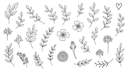 Fototapeta premium Botanical illustrations of flowers and leaves, minimalist line art, decorative elements