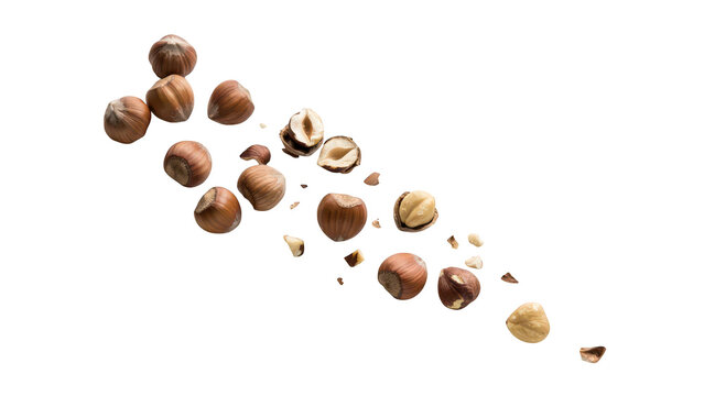 A scattering of whole and cracked hazelnuts with small fragments, isolated on a white background, for culinary and, healthy snack concepts
