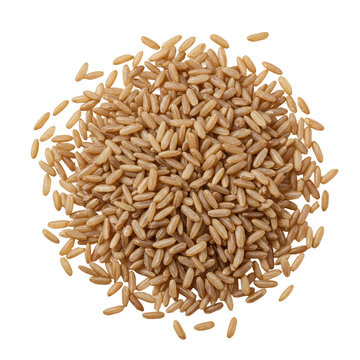 Plump, distinct cooked brown rice grains with earthy brown hues, scattered on a transparent background, soft diffused lighting, overhead view. Minimalist healthy food concept