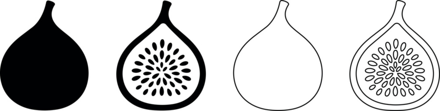 Set of four fig icons, solid and outline, whole and halved