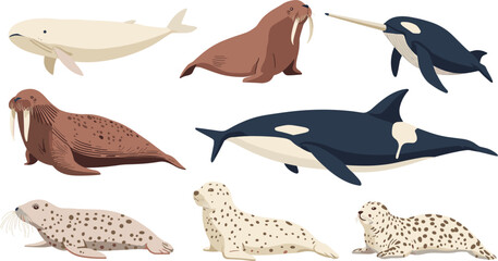 Arctic Polar Sea Animal Vector Illustration Set with Cartoon Beluga Whale Narwhal Orca Walrus and Spotted Seal Icons for Marine Wildlife Graphic Designs © rumi