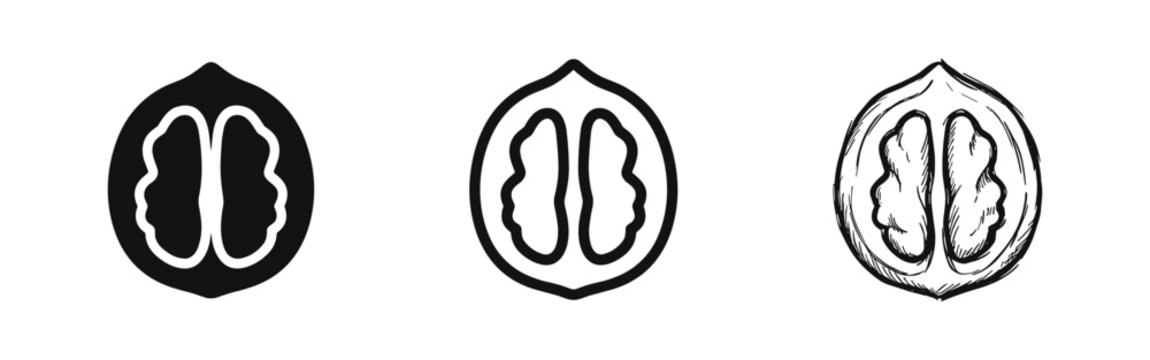 Halved walnut icon set. Healthy food, snack, ingredient, or natural nut concept.