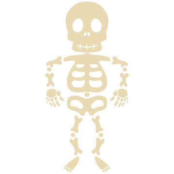 cartoon illustration of a white skeleton ghost 